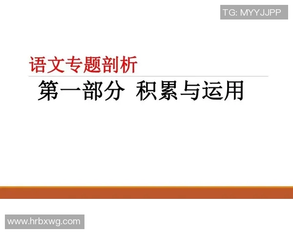 深圳羽毛球队耐力对比深度分析及训练策略探讨 深圳羽毛球队耐力对比深度分析及训练策略探讨