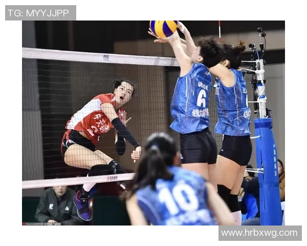 南京排球队的节奏揭秘与深度解析探讨排球运动的魅力与技巧