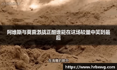完美体育